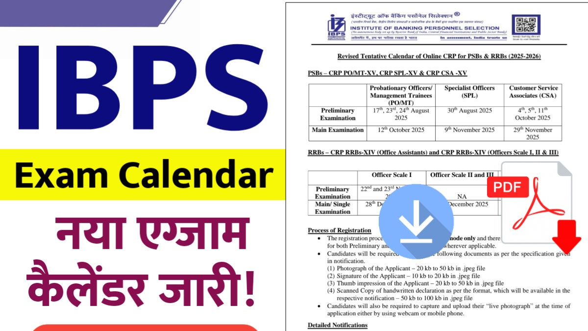 IBPS Exam Calendar 2025