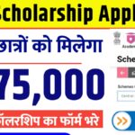 NSP Scholarship Apply
