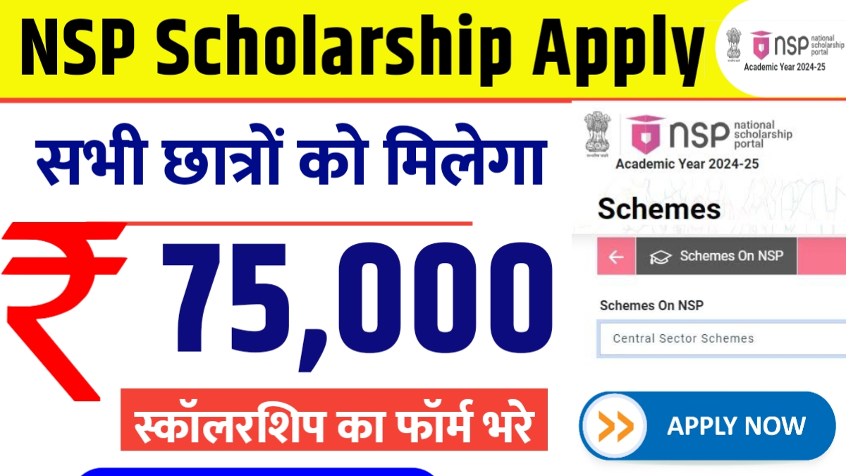 NSP Scholarship Apply