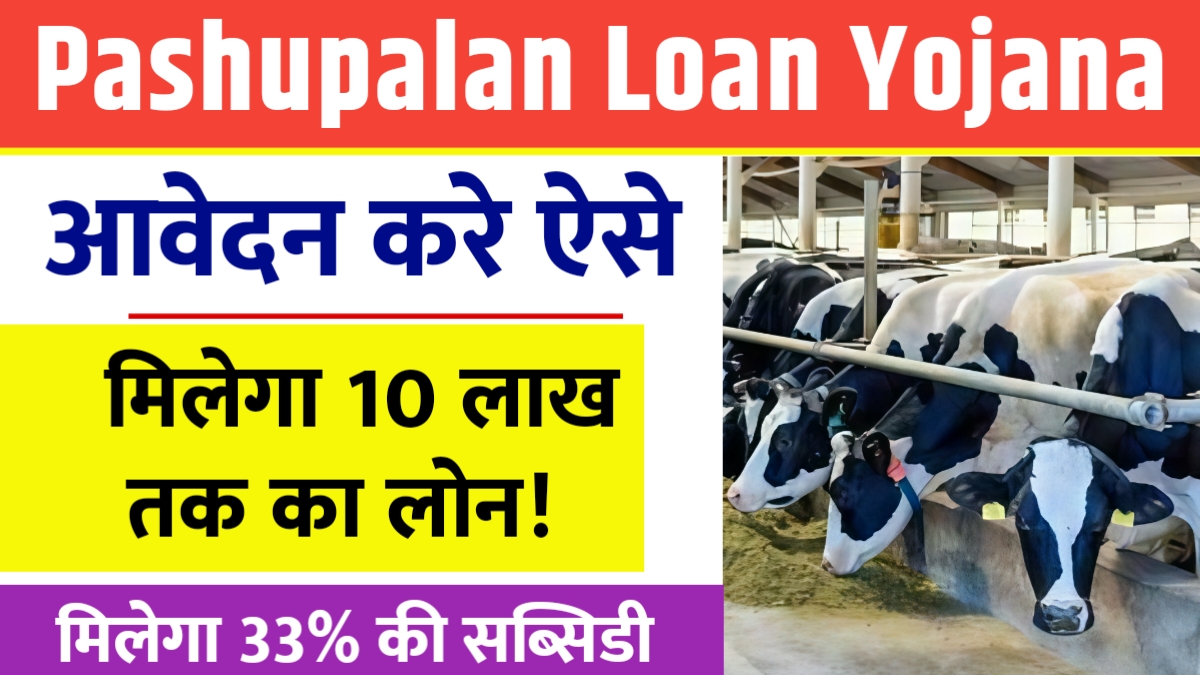 Pashupalan Loan Yojana